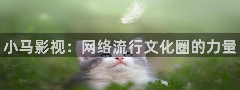 四虎影院98：小马影视：网络流行文化圈的力量