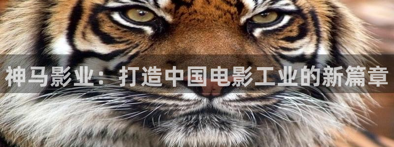 98电影院在线观看免费高清电视剧：神马影业：打造中国电影工业的新篇章