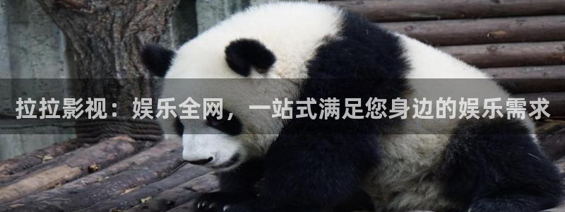 请回答1988全集完整版免费：拉拉影视：娱乐全网，一站式满足您身边的娱乐需求