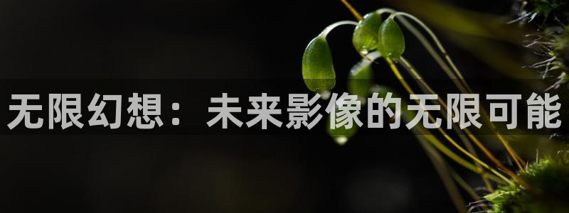 电影舍方知1988未删减版：无限幻想：未来影像的无限可能