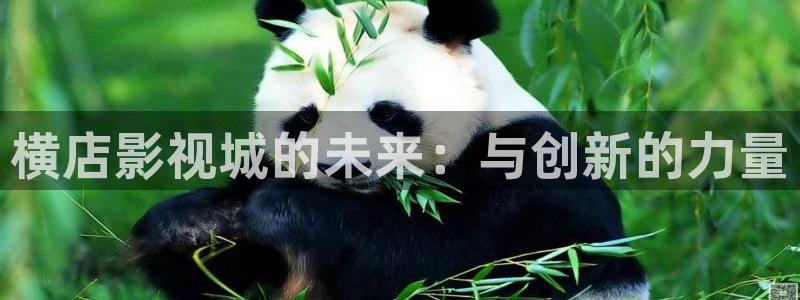 超级碰98：横店影视城的未来：与创新的力量