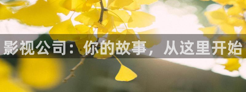 98八戒理论电影网站：影视公司：你的故事，从这里开始
