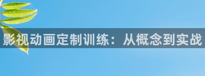 请回答1988粤语在线观看：影视动画定制训练：从概念到实战