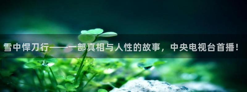 请回答1988星辰影视：雪中悍刀行——一部真相与人性的故事，中央电视台首播！