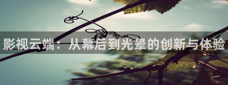 98电影网址：影视云端：从幕后到光晕的创新与体验